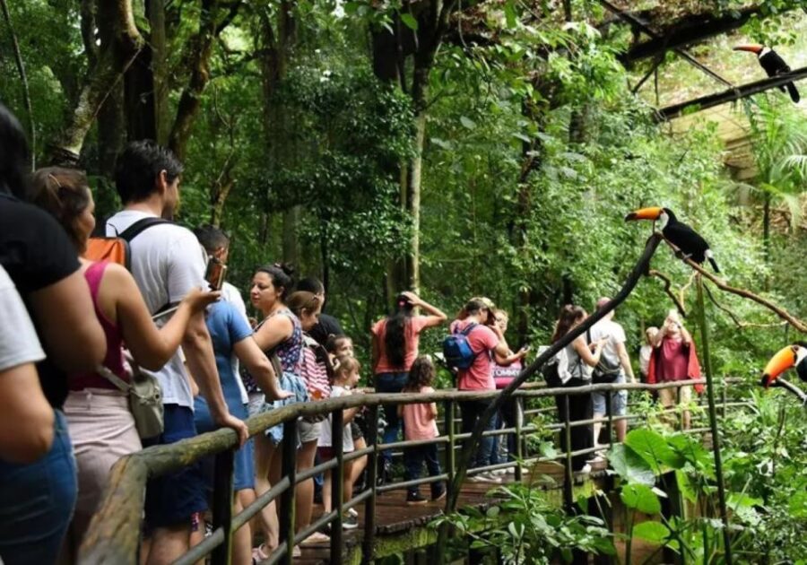 Puerto Iguazu: Iguaza Falls Brazilian Side & Bird Park Tour