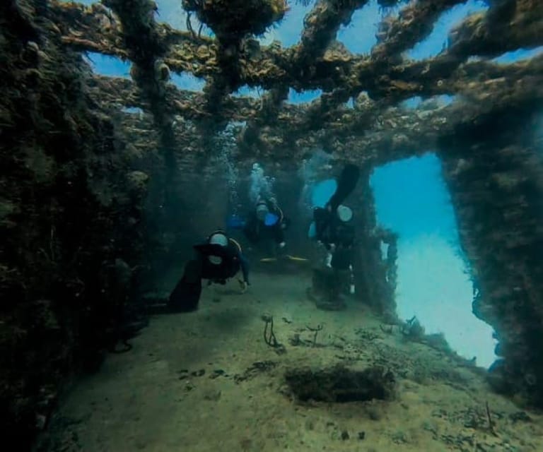 Puerto Morelos: C-56 Shipwreck & Reef Exploration