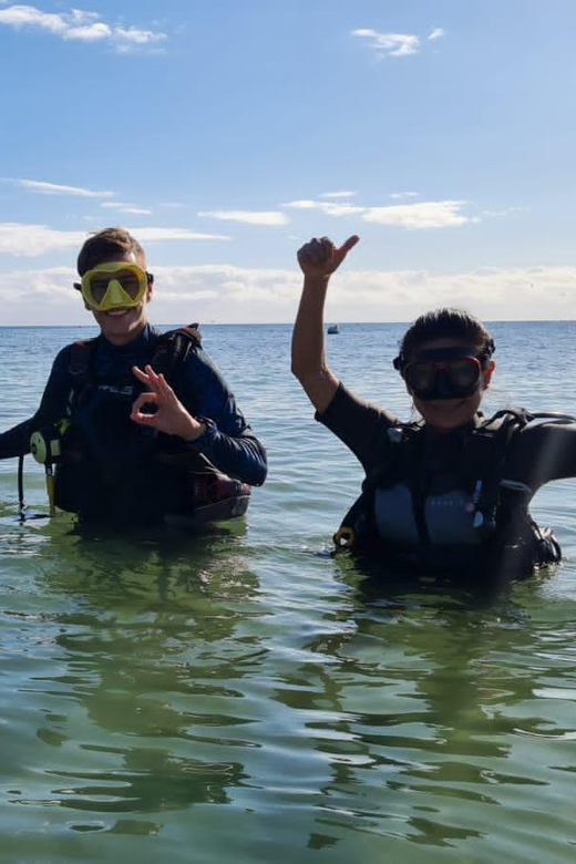 Puerto Morelos: Dive Cenote Dos Ojos