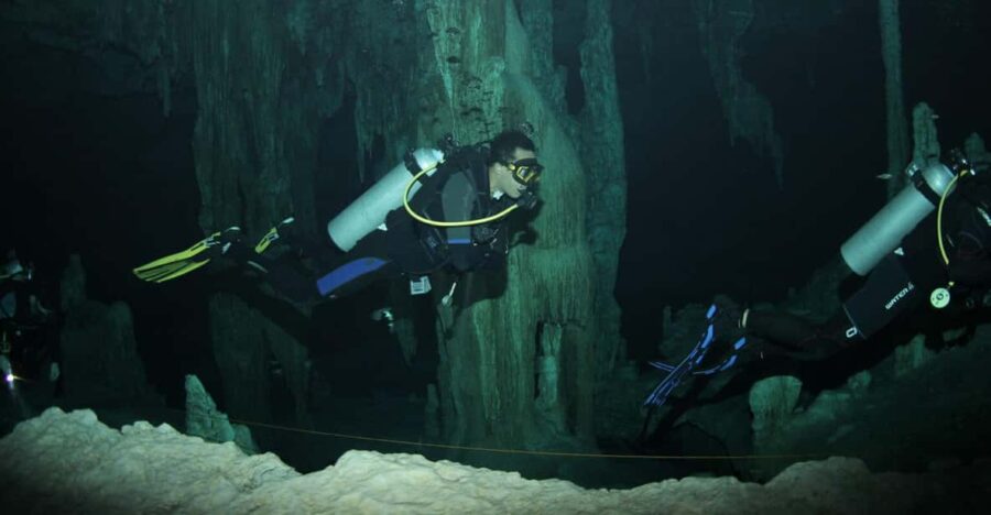 Puerto Morelos: Night Dive