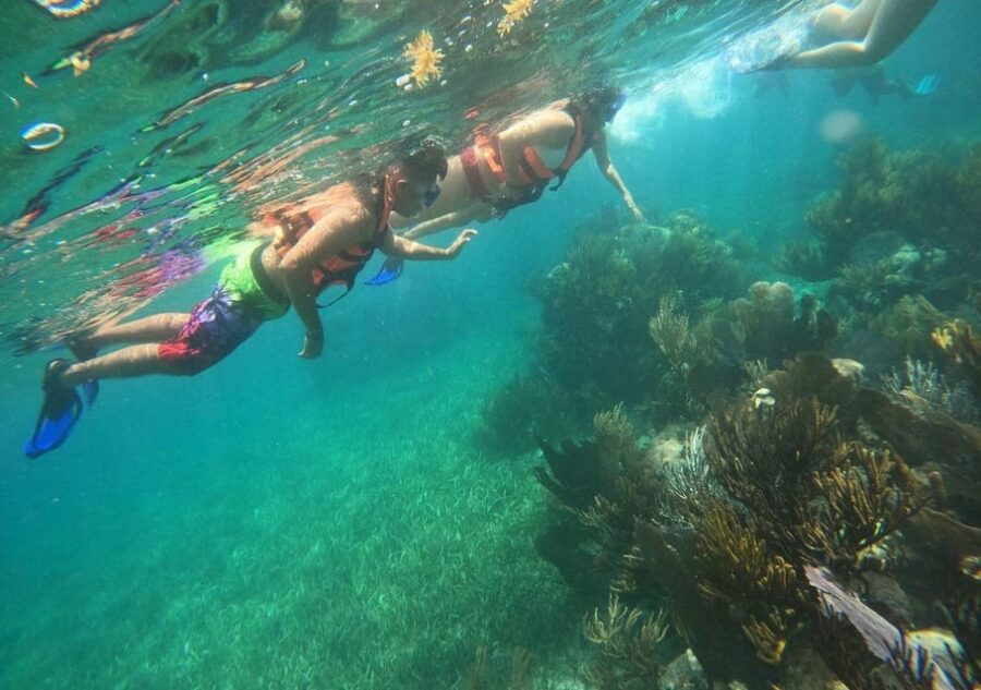 Puerto Morelos: Snorkel in Coral Reef and Visit the Town
