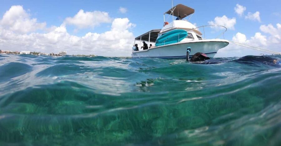 Puerto Morelos: Snorkel in Coral Reef and Visit the Town