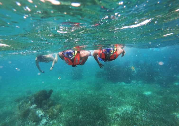 Puerto Morelos: Snorkel Tour in Reef With Transportation