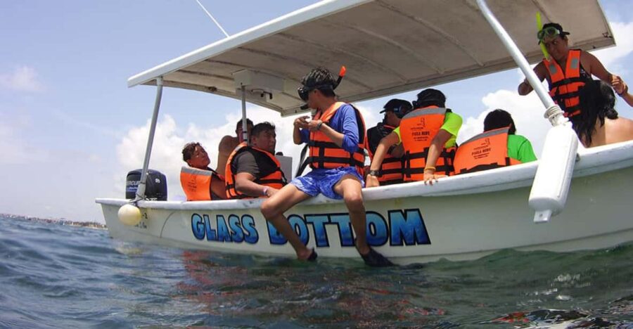 Puerto Morelos: Whale Shark Tour