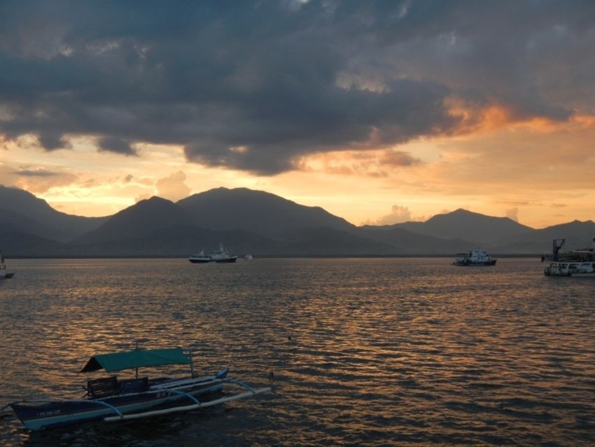 Puerto Princesa: Firefly Watching Bay Cruise With Dinner - Activity Overview