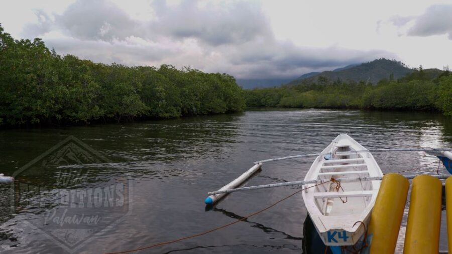 Puerto Princesa: Firefly Watching Paddle Boat Tour & Dinner - Tour Overview