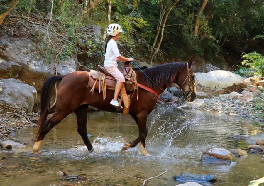 Puerto Vallarta: Horseback Riding Adventure at Canopy River - Activity Overview