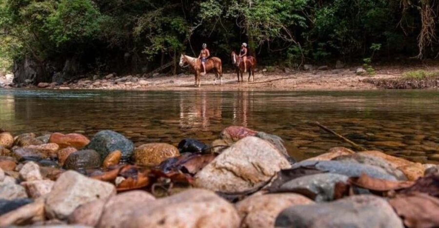 Puerto Vallarta: Horseback Riding Adventure