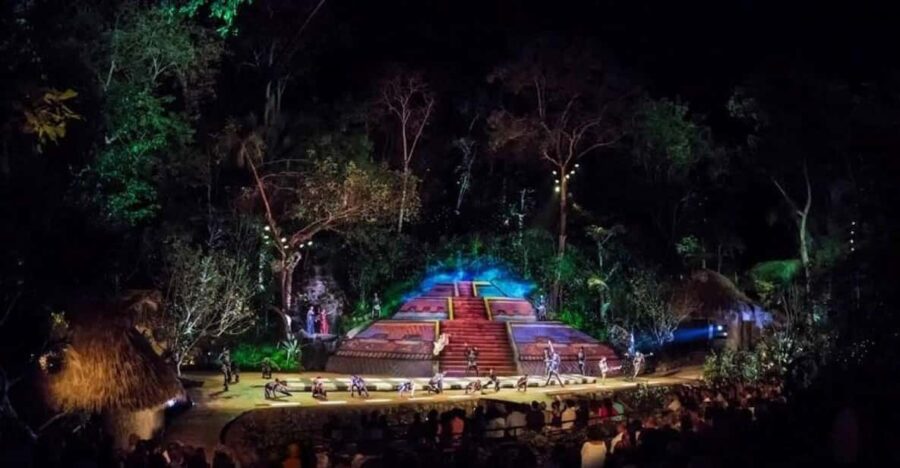 Puerto Vallarta: Rhythms of the Night Experience