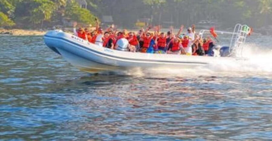 Puerto Vallarta: Sea Safari & Horseback Riding - Tour Overview