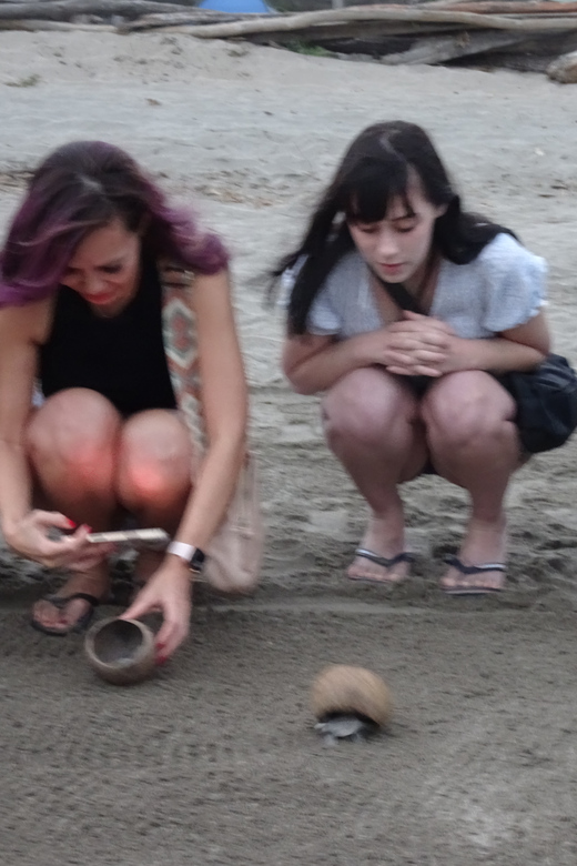 Puerto Vallarta: Sea Turtle Release at Sunset - Overview of the Activity