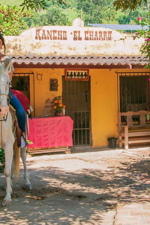 Puerto Vallarta: Tropical Forest Horseback Ride - Activity Overview