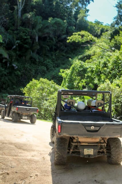 Puerto Vallarta: Viking RZR Eden for Cruise Ship Passengers