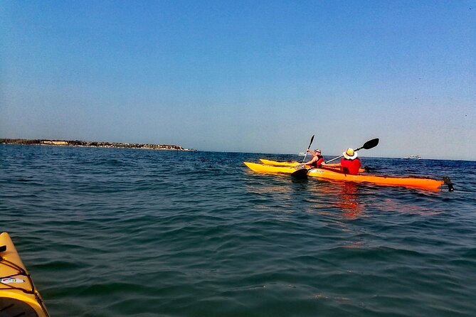 Punta Arena Excursion Kayak