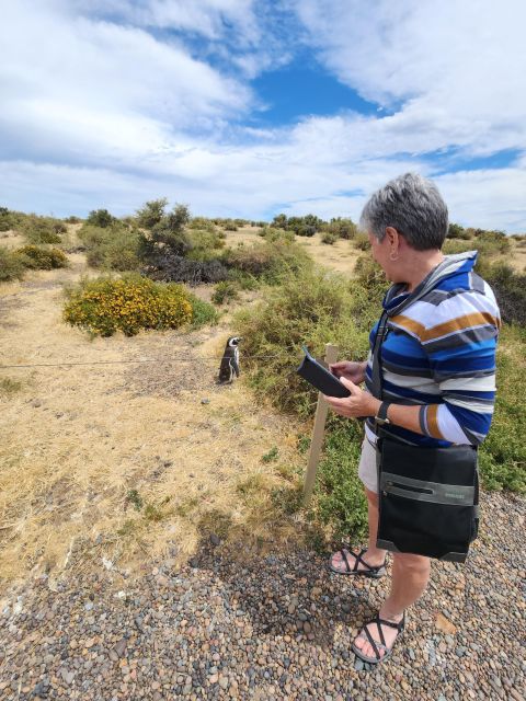 Punta Tombo Shore Excursion Box Lunch and Tickets Included - Tour Overview and Pricing