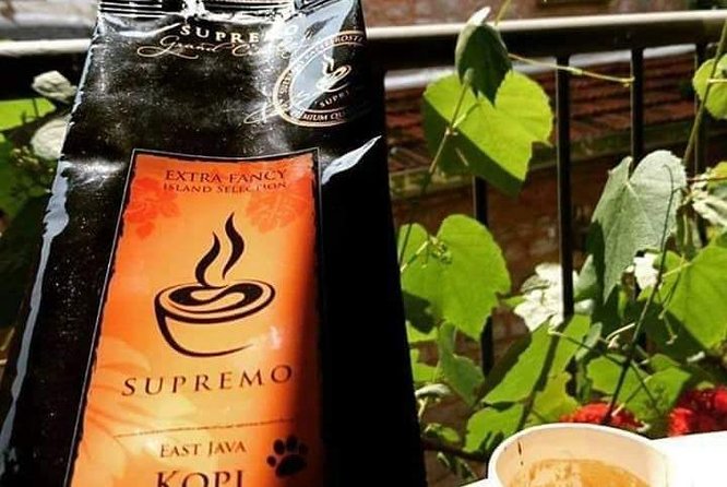 Quad Ride and Ubud Tour - Tour Overview