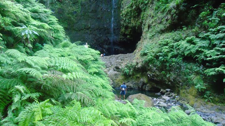 Queimadas Natural Park 5-Hour Guided Hike