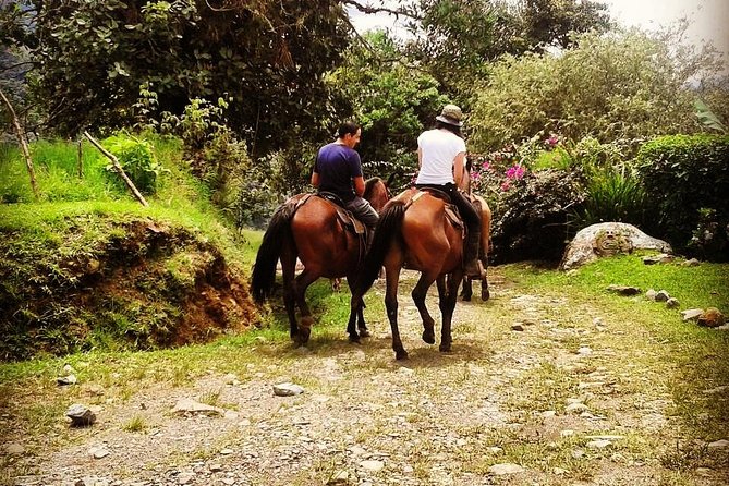 Queveri Horseback Riding Tours - Overview of the Tour