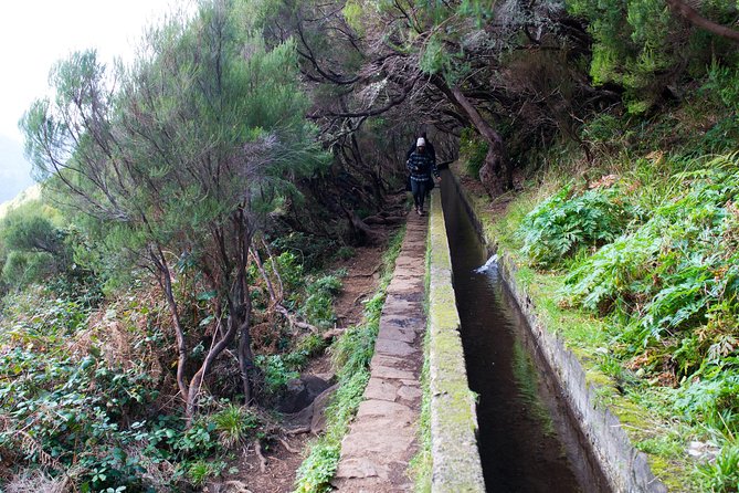 Rabaçal Hiking Tour