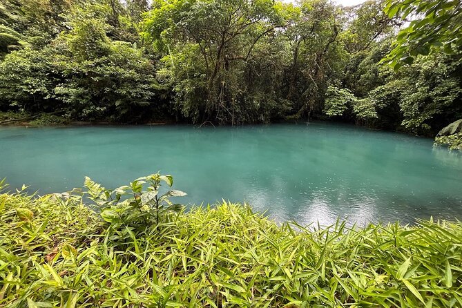 Rain Forest Hike: Rio Celeste Waterfall, Sloth & Butterfly Farm