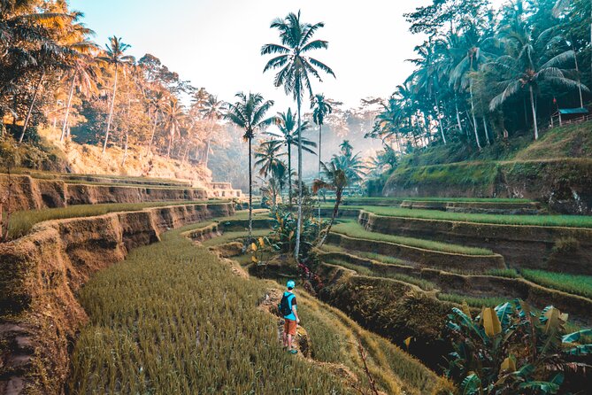 Real Ubud Private Customised Tour By Local Guides - Tour Overview