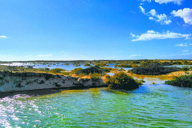 Ria Formosa Private 6 Hours Guided Tour in Classic Boat, Olhão. - Amenities and Features
