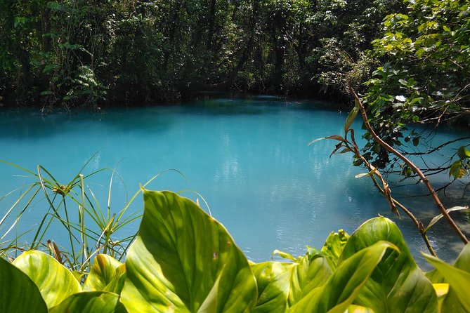 Rio Celeste Waterfall & Sloth Encounter Tour