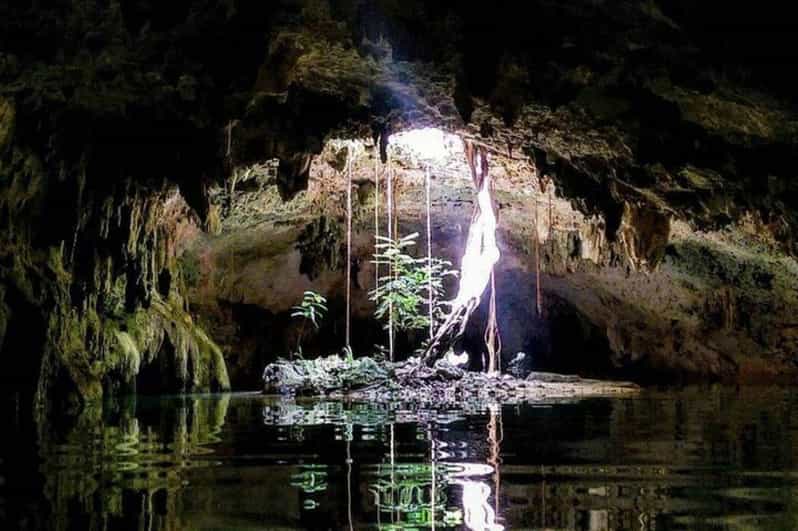 Riviera Maya: Discover Two Unique Cenotes