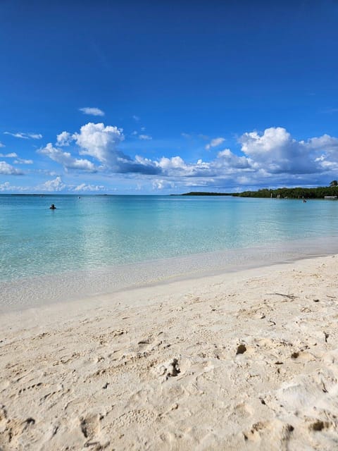 Riviera Maya: Isla Contoy and Isla Mujeres Full-Day Tour