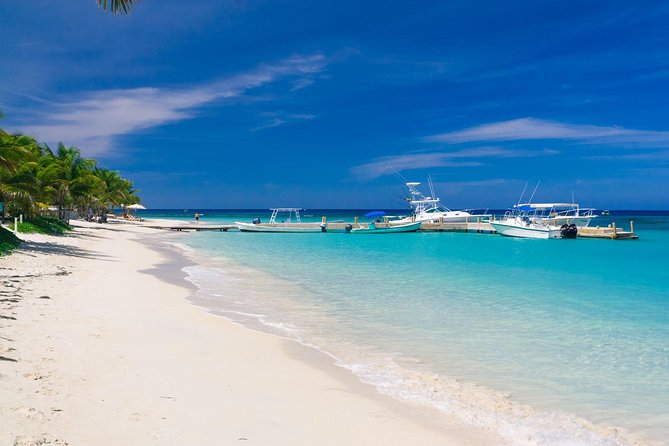 Roatan Excursion: Beach Break/ Plus Sloth Park and Snorkel Adventure