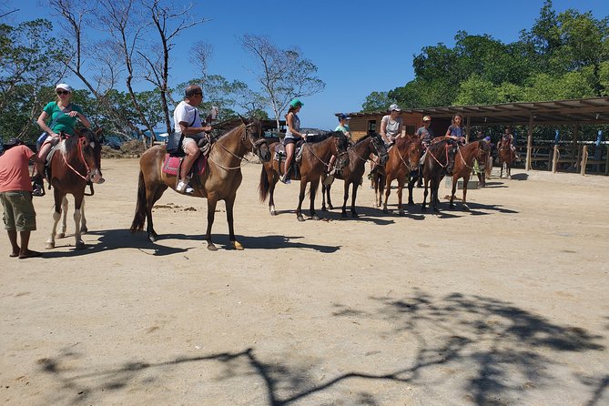 Roatan Excursion: Horseback Ride / Sloths Park / Snorkel With Beach Break - Activities and Locations