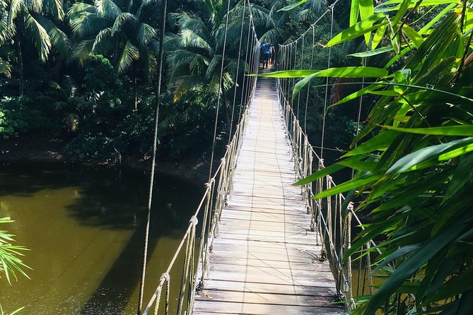 Roatan Gumbalimba Preservation Eco-Park With Beach Break