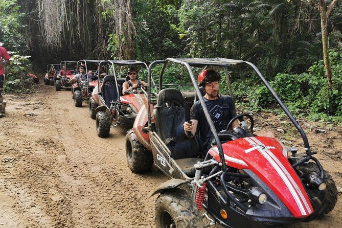 Roatan Wildlife Eco-Safari Adventure: Dune BUGGY, History & Beach