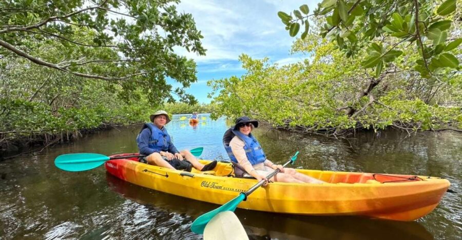 5 Best Tours In Bradenton Florida
