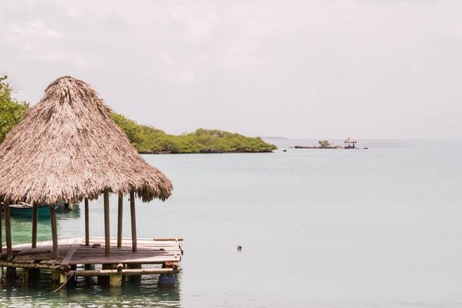 Rosario Islands Day Trip at Isla Del Sol - Departure and Transportation Details