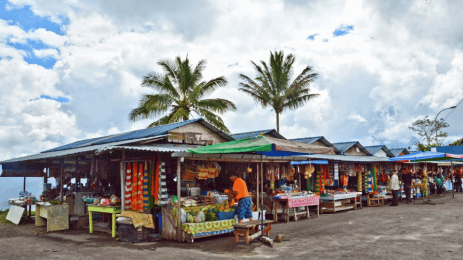 Sabah : Kundasang Day Tour Nature