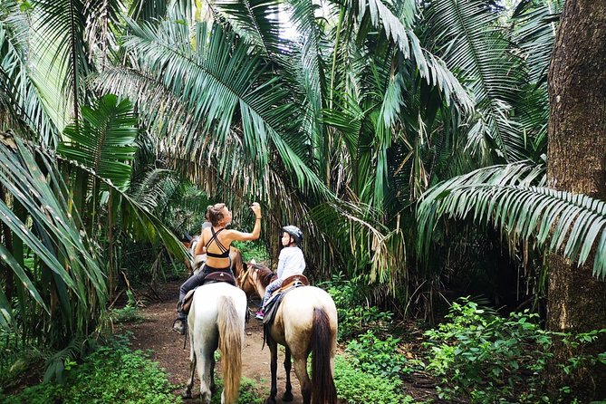 Safari Horse Riding Tour