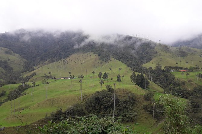 Salento Valley of Cocora and Filandia - Destination Highlights