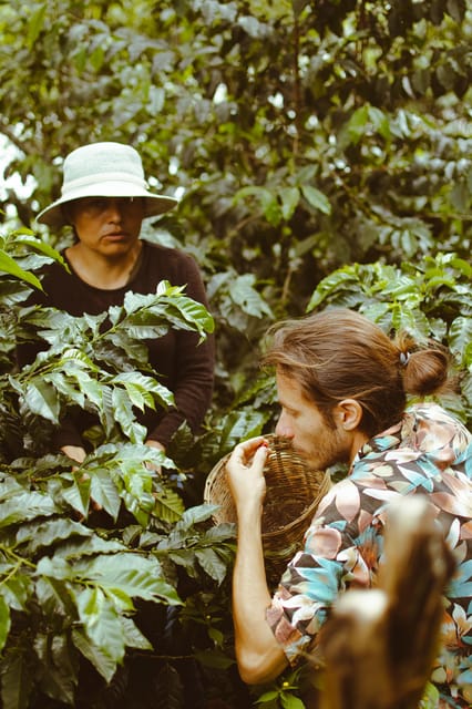 San Cristóbal De Las Casas: Coffee Route to Tenejapa