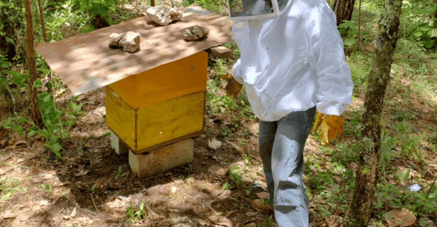 San Cristobal: Huixtan Adventure With Traditional Activities