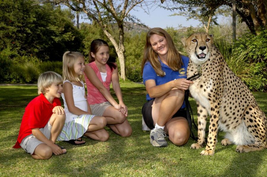San Diego: San Diego Zoo Safari Park 1-Day Ticket