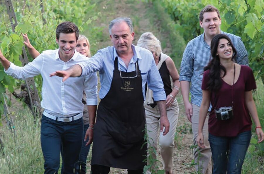 San Gimignano: Vineyard Walk With Wine Tasting in Winery
