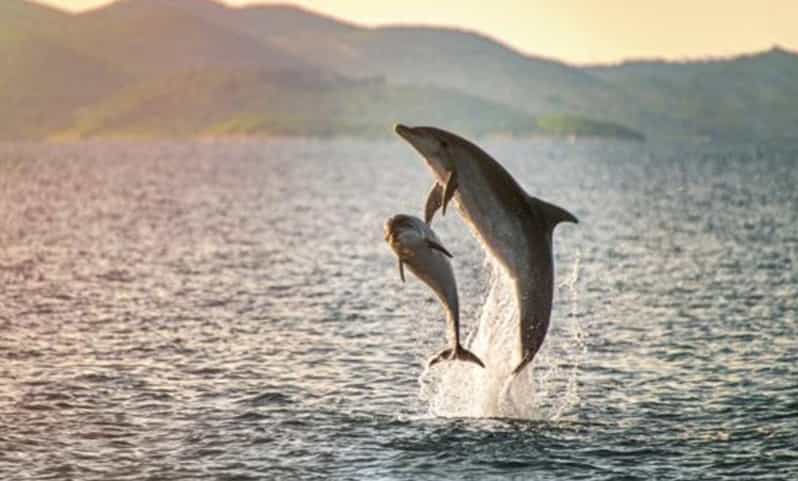 San Jose Del Cabo Wildlife Encounter
