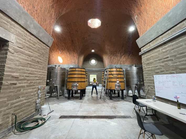 San Miguel De Allende: a Journey Through Vineyards