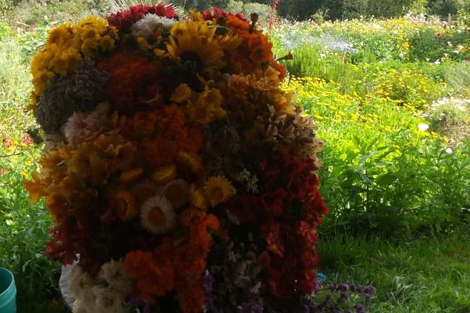 Santa Elena Trip: Silleteros and Flower Farm Cultural Tour - Itinerary