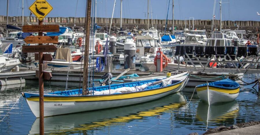 Sao Miguel: Azorean Whalers Heritage Tour