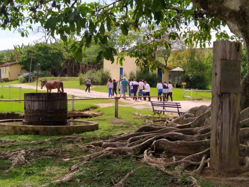 3 Best Coffee Tours And Tastings In Sao Paulo