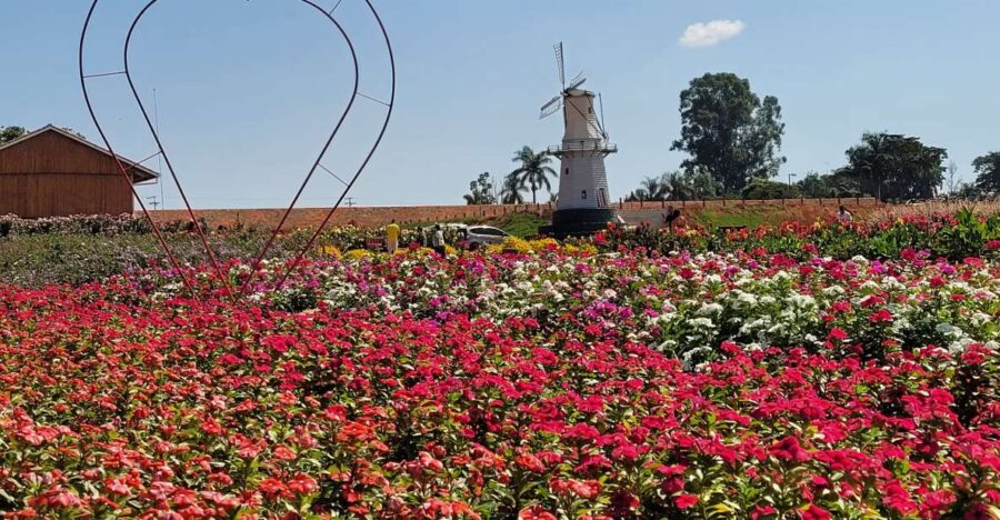 São Paulo: Holambra Colorful Flower Farm Guided Day Trip