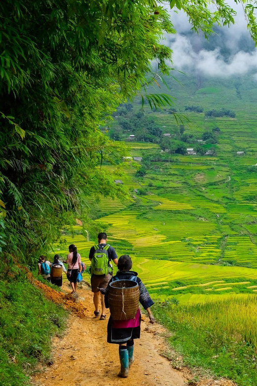 Sapa Beautiful Rice Field, Village - Easy Walking Kid,Senior - Overview of the Tour