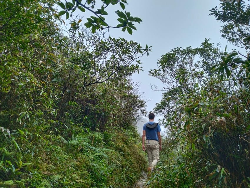 SAPA : Climb up to Fansipan Mountain With LOCAL GUIDE